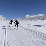 Chalet Le 